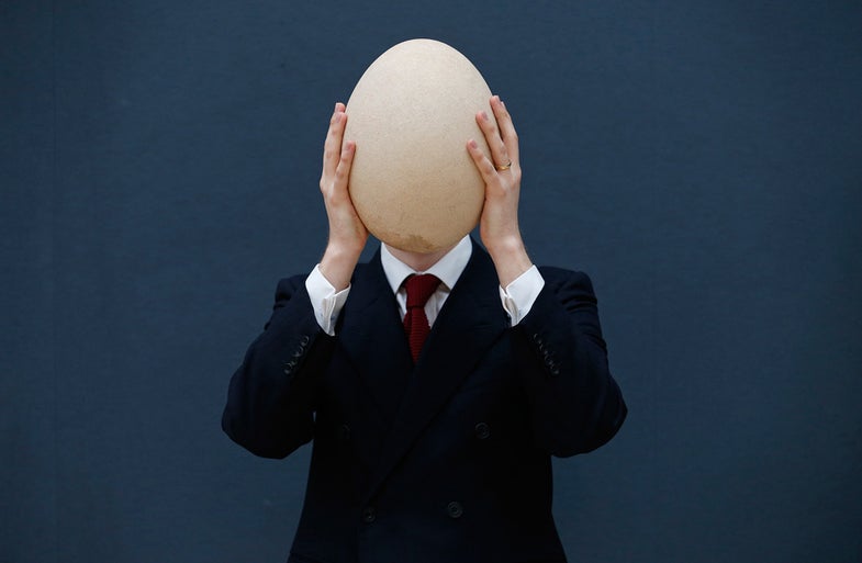 Christie's specialist James Hyslop holds a pre-17th century, sub-fossilised Elephant Bird egg in London March 27, 2013. The rare egg is expected to sell for 20,000-30,000 GB pounds (U.S. $30,000-45,000) when is it auctioned in London on April 24. The extinct Elephant Bird, a native of Madagascar, was a large bird measuring around 11 feet in height. REUTERS/Suzanne Plunkett (BRITAIN - Tags: SOCIETY ANIMALS BUSINESS) - RTXXZJO
