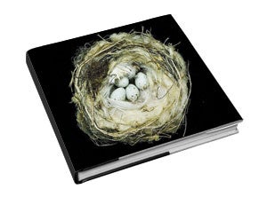 Nests: Fifty Nests and the Birds that Built Them