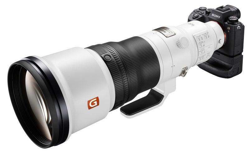 FE 600mm F4 GM OSS