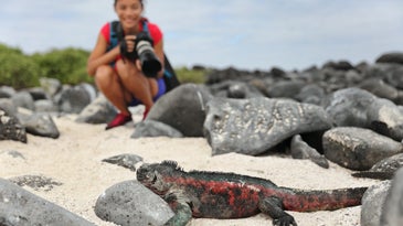 How to selfie responsibly, and other tips for not damaging wildlife while shooting