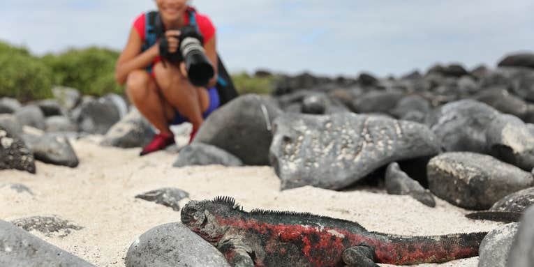 How to selfie responsibly, and other tips for not damaging wildlife while shooting