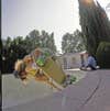 skateboarder in dog bowl