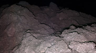 Amazing new photos of asteroid Ryugu present a new mystery: who cleaned up all the dust?