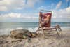 A turtle next to a beach chair tangled in trash