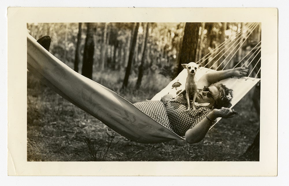 dog on owners chest in hammock