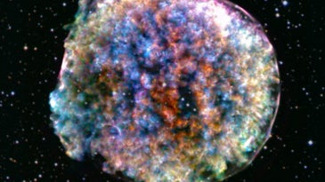 This fluffy ball contains the story of the universe