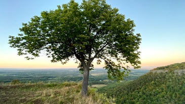 Ultra-wide angle landscape example.