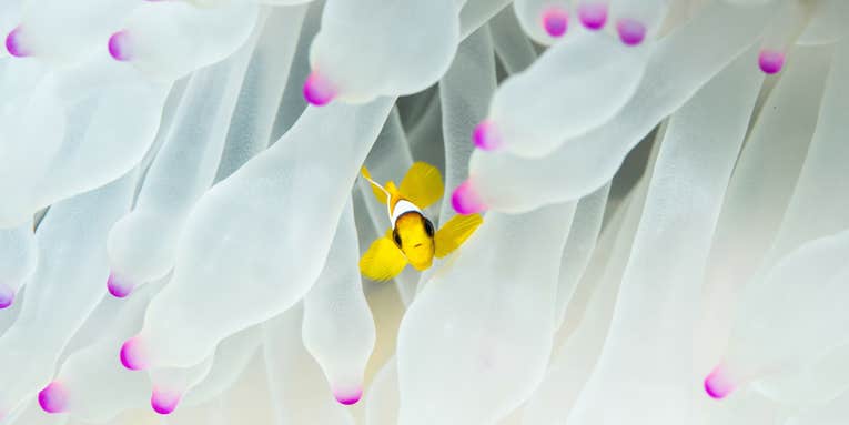 16 stunning photos of scientific phenomena in action 16 stunning photos of scientific phenomena in action