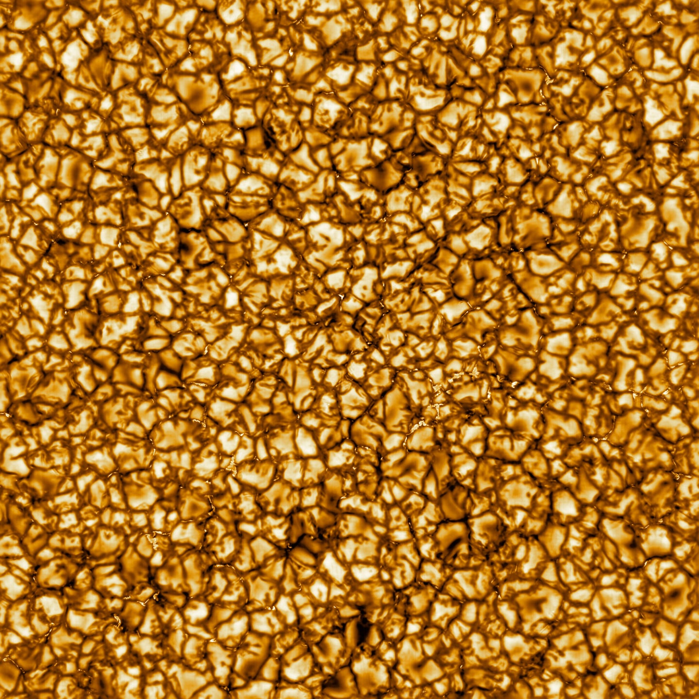 A closeup image of the sun's surface
