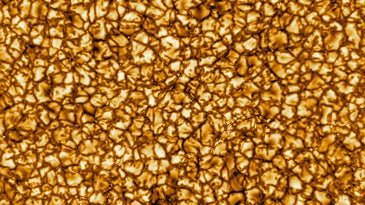A closeup image of the sun's surface