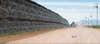 A greater roadrunner approaches the border wall at Naco, Arizona, USA on 28 April.