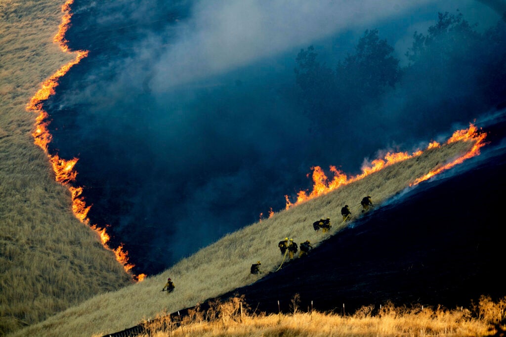 Firefighters battle the Marsh Complex Fire, near the town of Brentwood, California, USA on 3 August.
