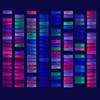 A breakdown of a cell's responses to 21 chemotherapy drugs