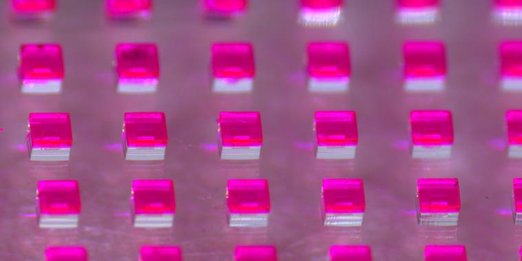 Medical breakthroughs turned into gorgeous images Medical breakthroughs turned into gorgeous images