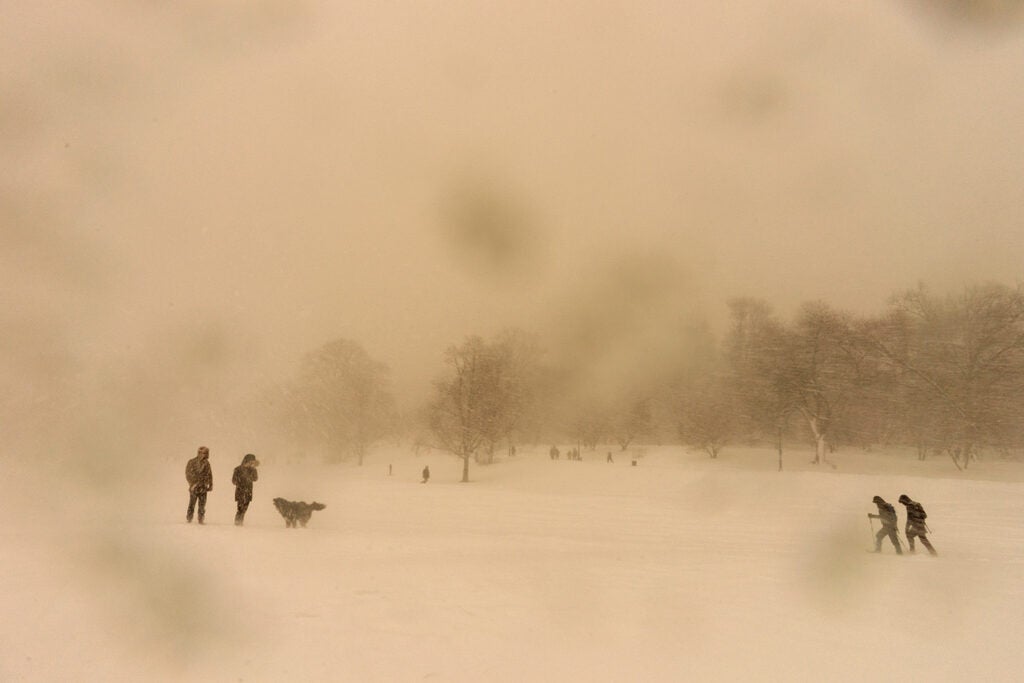 Winter Storm, Prospect Park, 2016