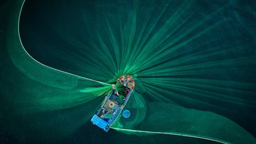 Stunning photos from the Smithsonian’s 17th annual photo competition revealed