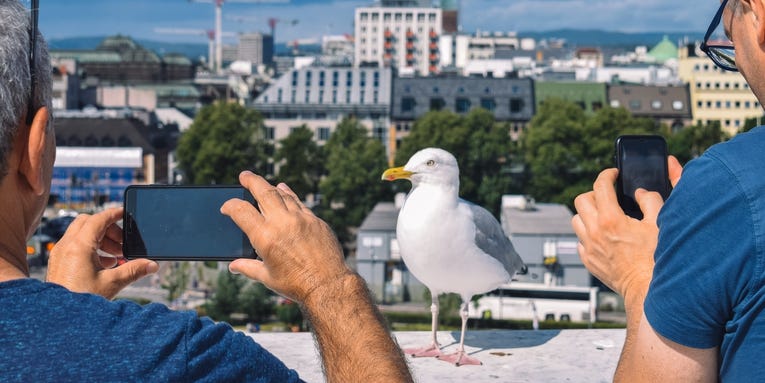 Downsize the photos on your smartphone’s camera roll Downsize the photos on your smartphone’s camera roll