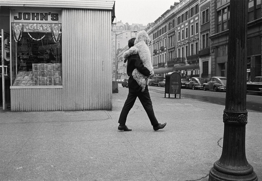 Man carrying dog in New York City