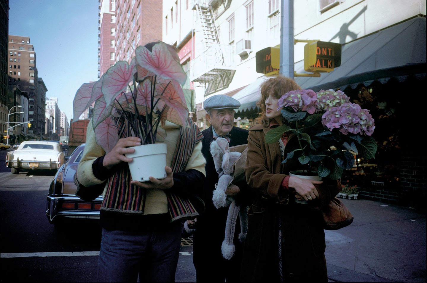 People carrying plants in New York
