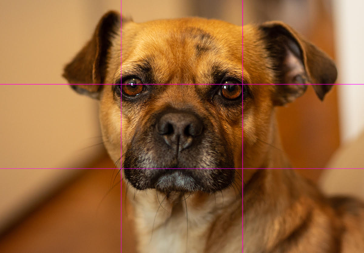 Photo Mistakes 6 common photography mistakes to avoid | Popular Photography