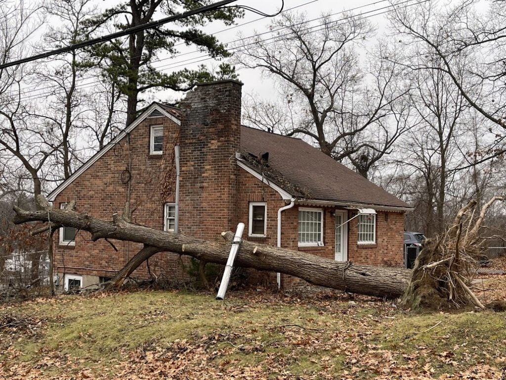 A house with a tree fallen down in front of it shot on an iPhone in Apple ProRAW.