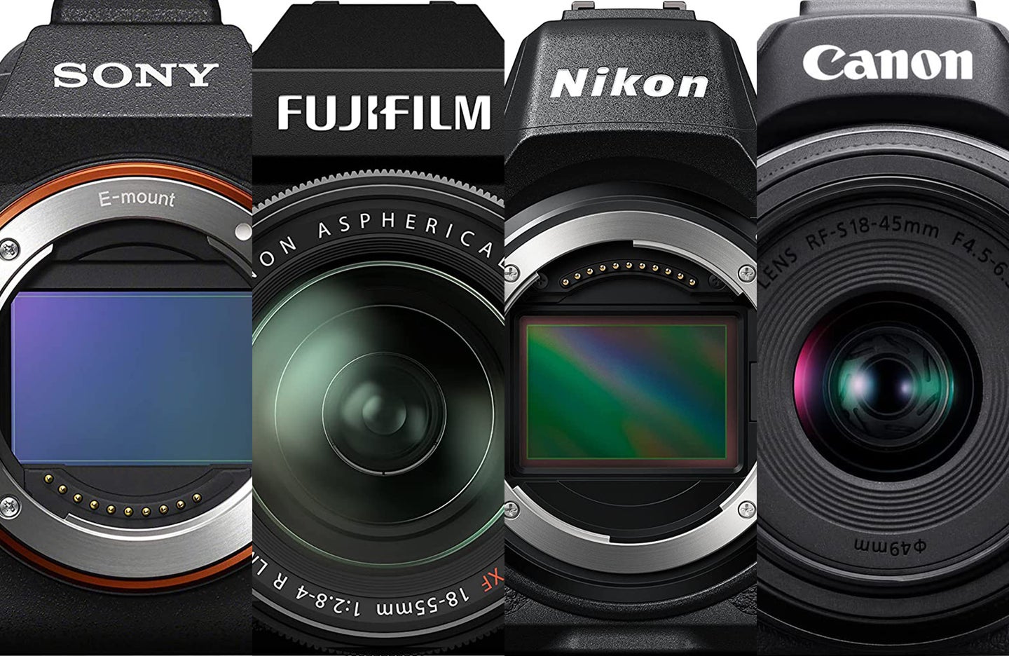 a selection of mirrorless cameras from Nikon, Sony, Canon, and Fujifilm
