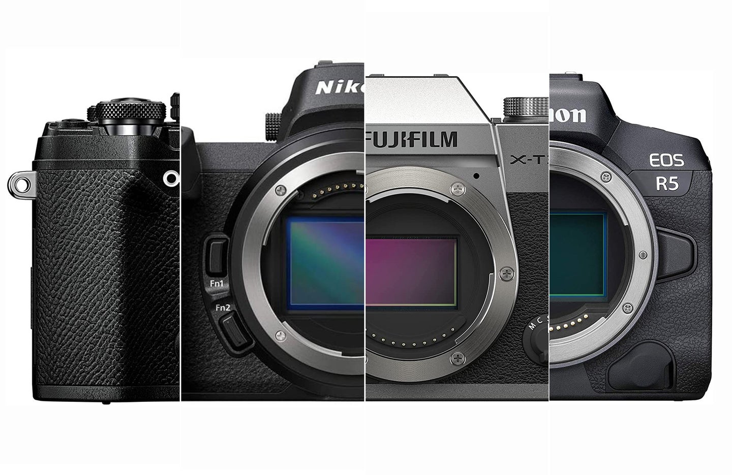 Best mirrorless cameras composited