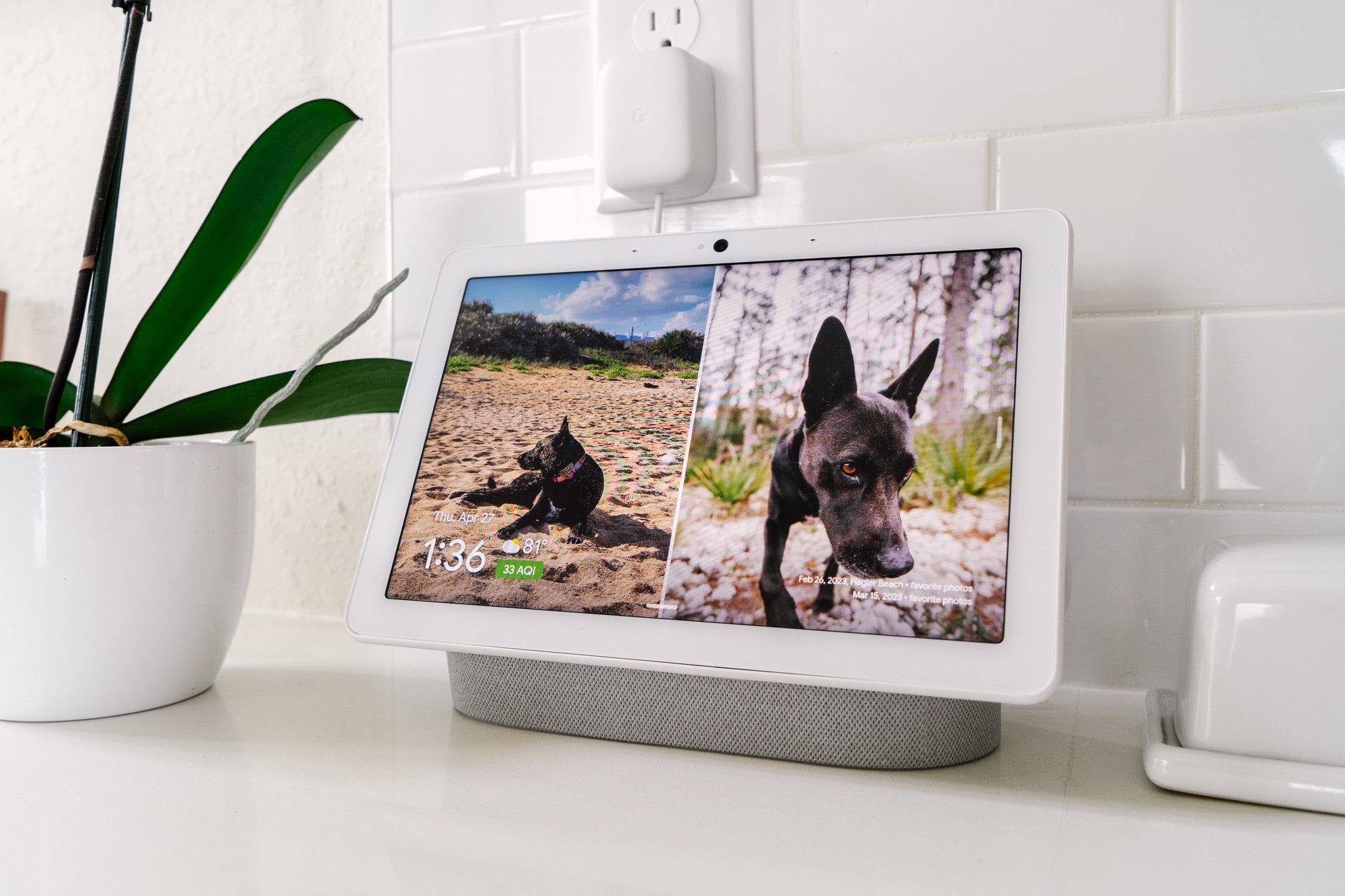 The Best Digital Picture Frames for 2024