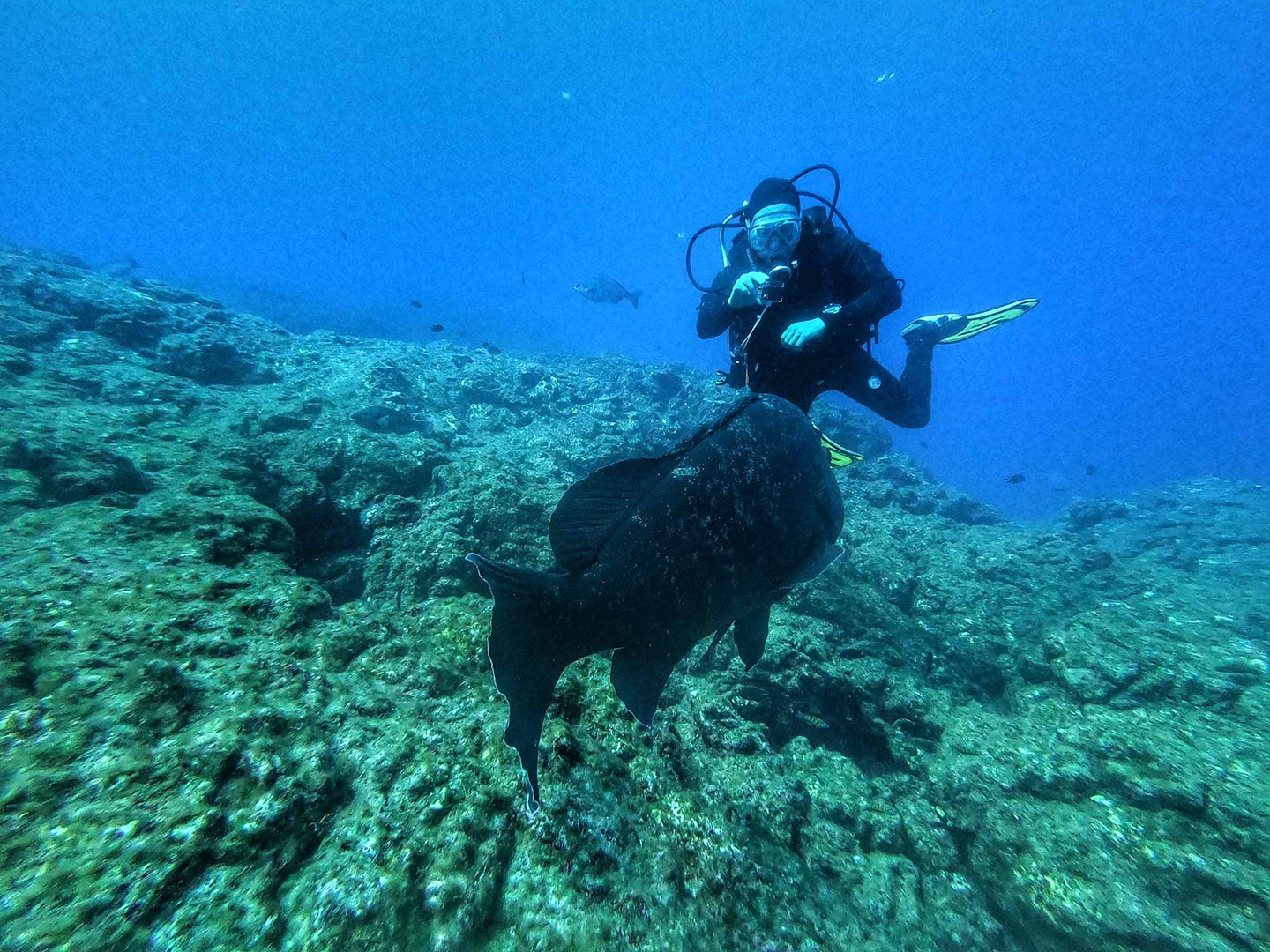 Scuba diver taking pictures underwater