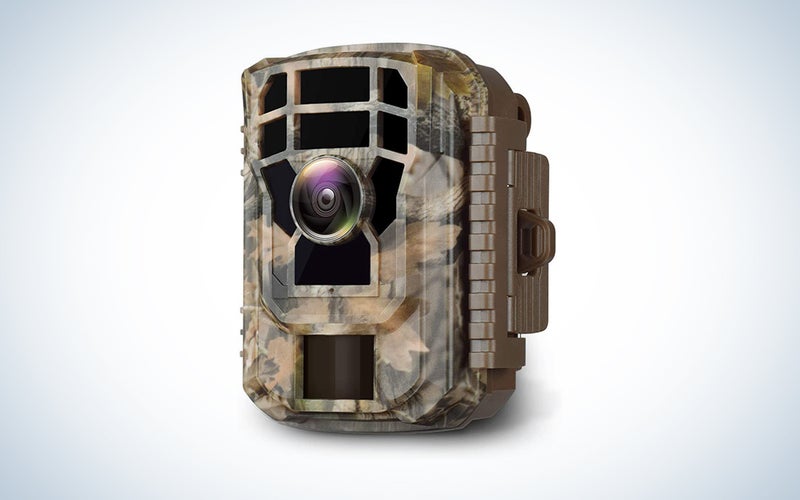 The best trail cameras of 2023 Popular Photography
