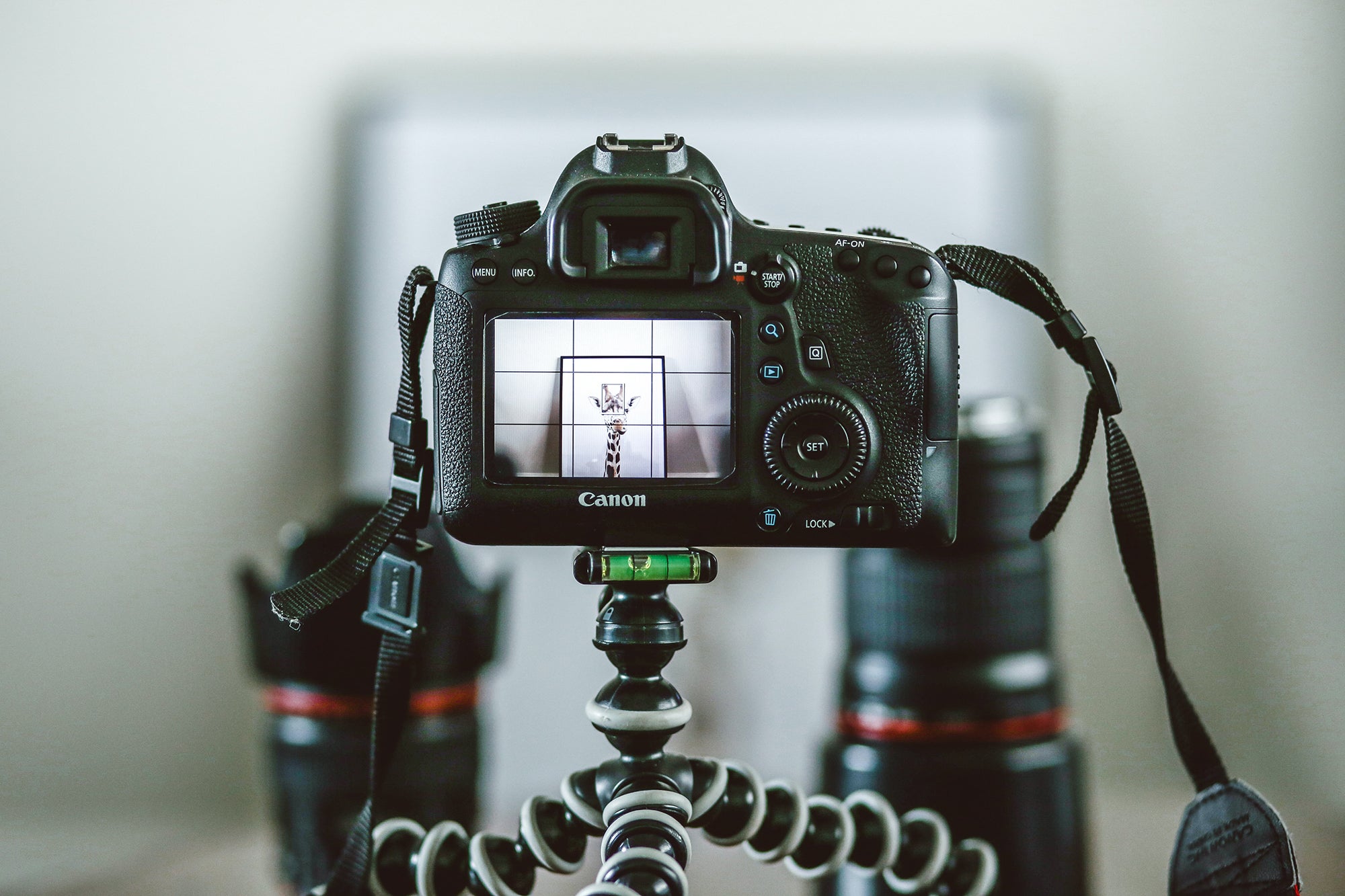best camera holder for vlogging