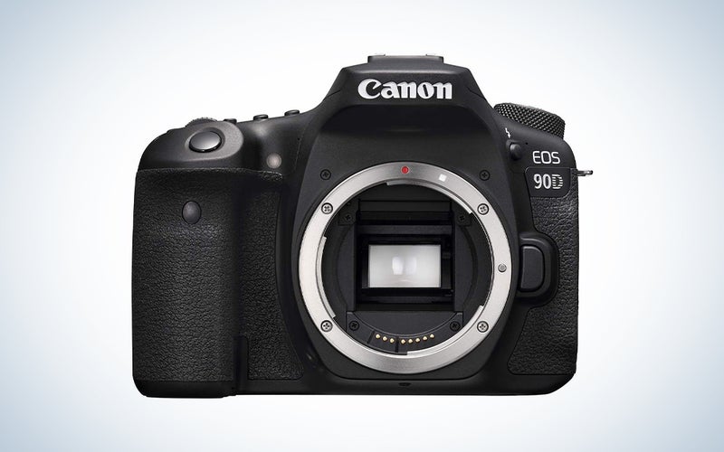 Canon EOS 90D review: The perfect upgrade