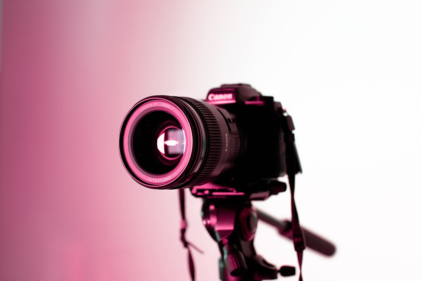 canon camera on a tripod with a pink light
