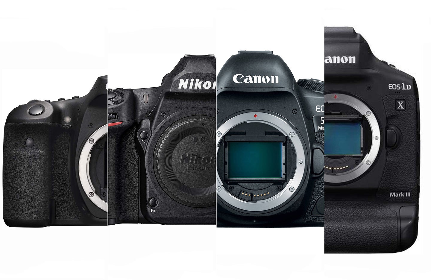 The best DSLR cameras composited