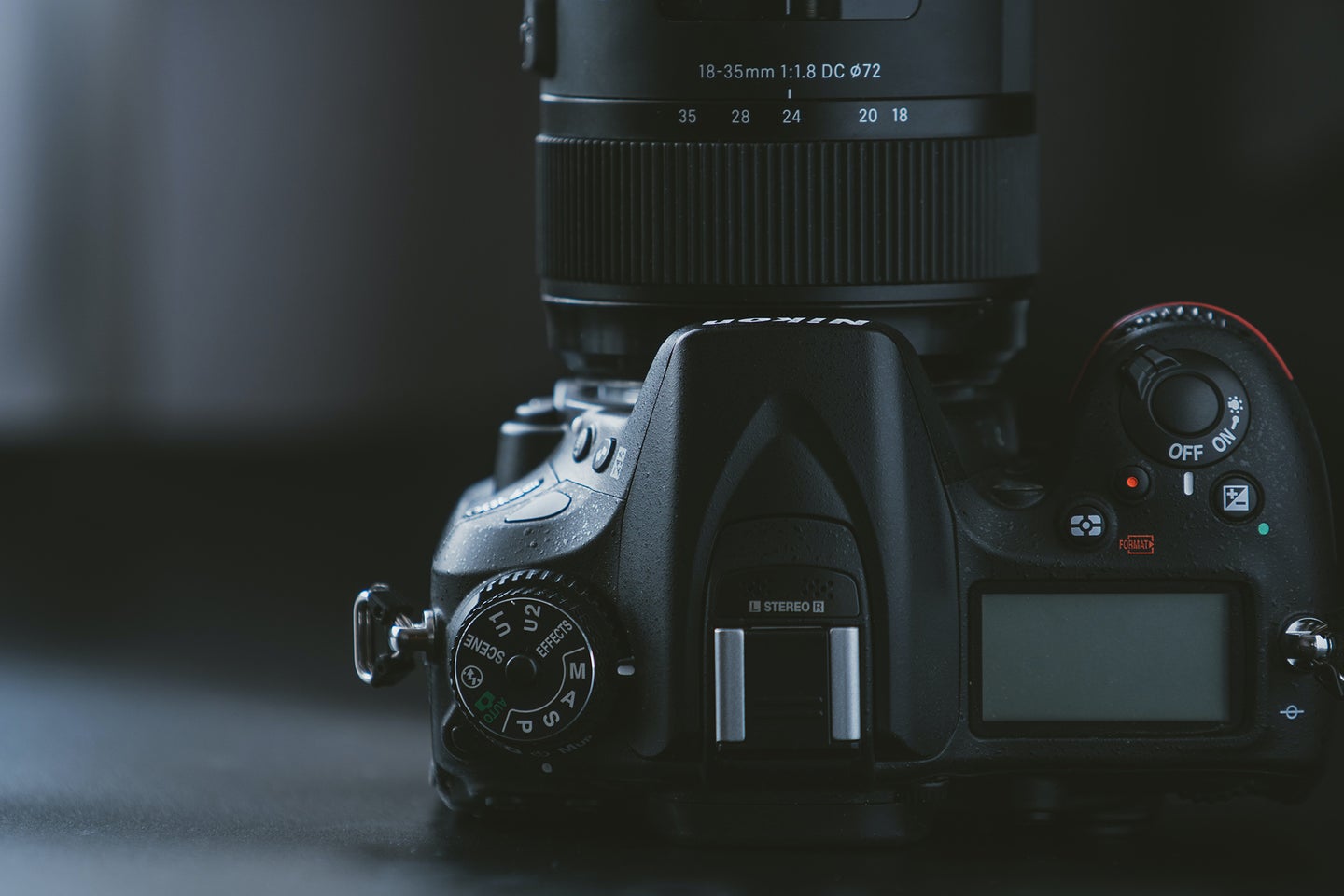 Best Nikon Lens for Portraits Popular Photography