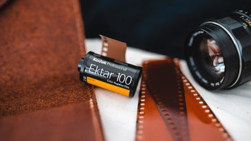 Best color films of 2023