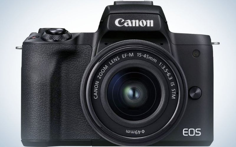 A black-bodied DSLR, like many Canon cameras.