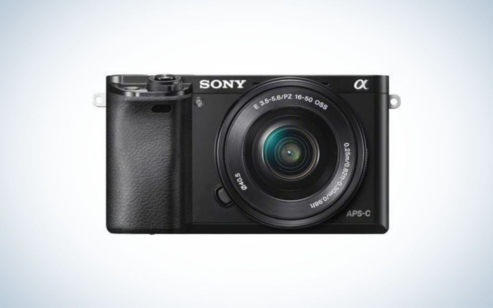 Best camera for beginners Find gear that clicks EditionsPhotoArt