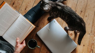 A small cat waking through a notebook and a person reading with a book in front and a cup of coffee into the wooden floor.