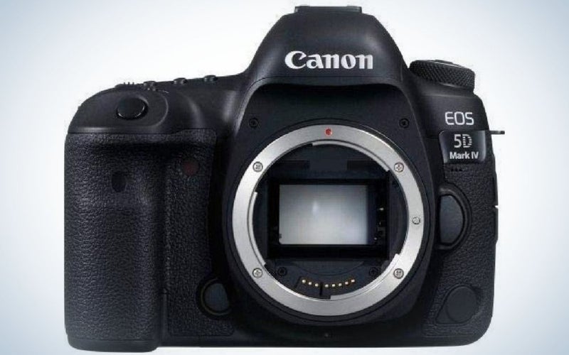 A professional camera with black color and with grey lens in front of it.