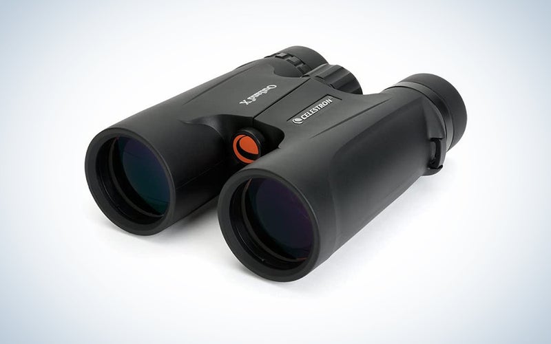 celestron rugged binoculars prime day deal