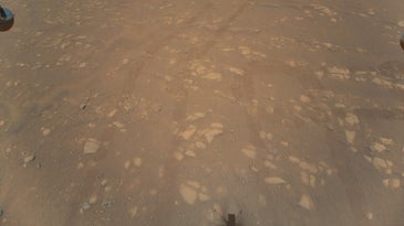 The surface of Mars as photographed by NASA's Ingenuity helicopter