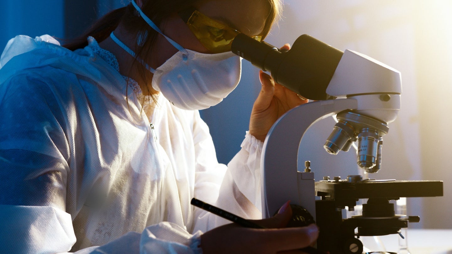 A scientist looks through a microscope.