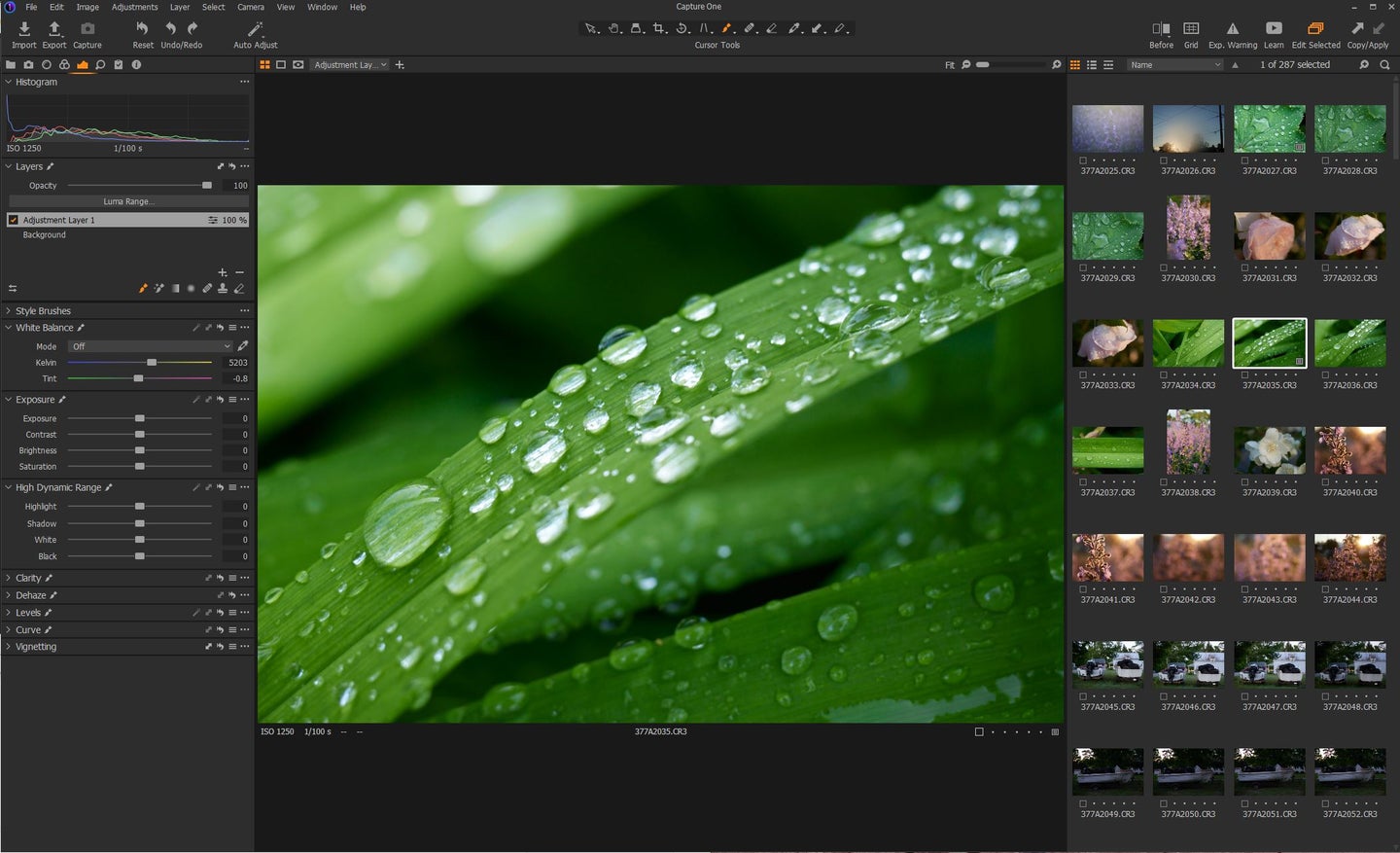 Capture One Pro review Best photo editing software Popular Photography