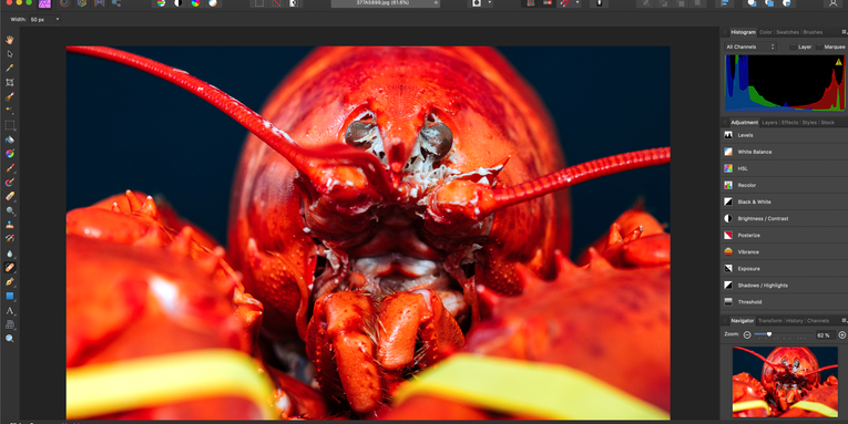 Affinity Photo review: An affordable Photoshop alternative with some compromises