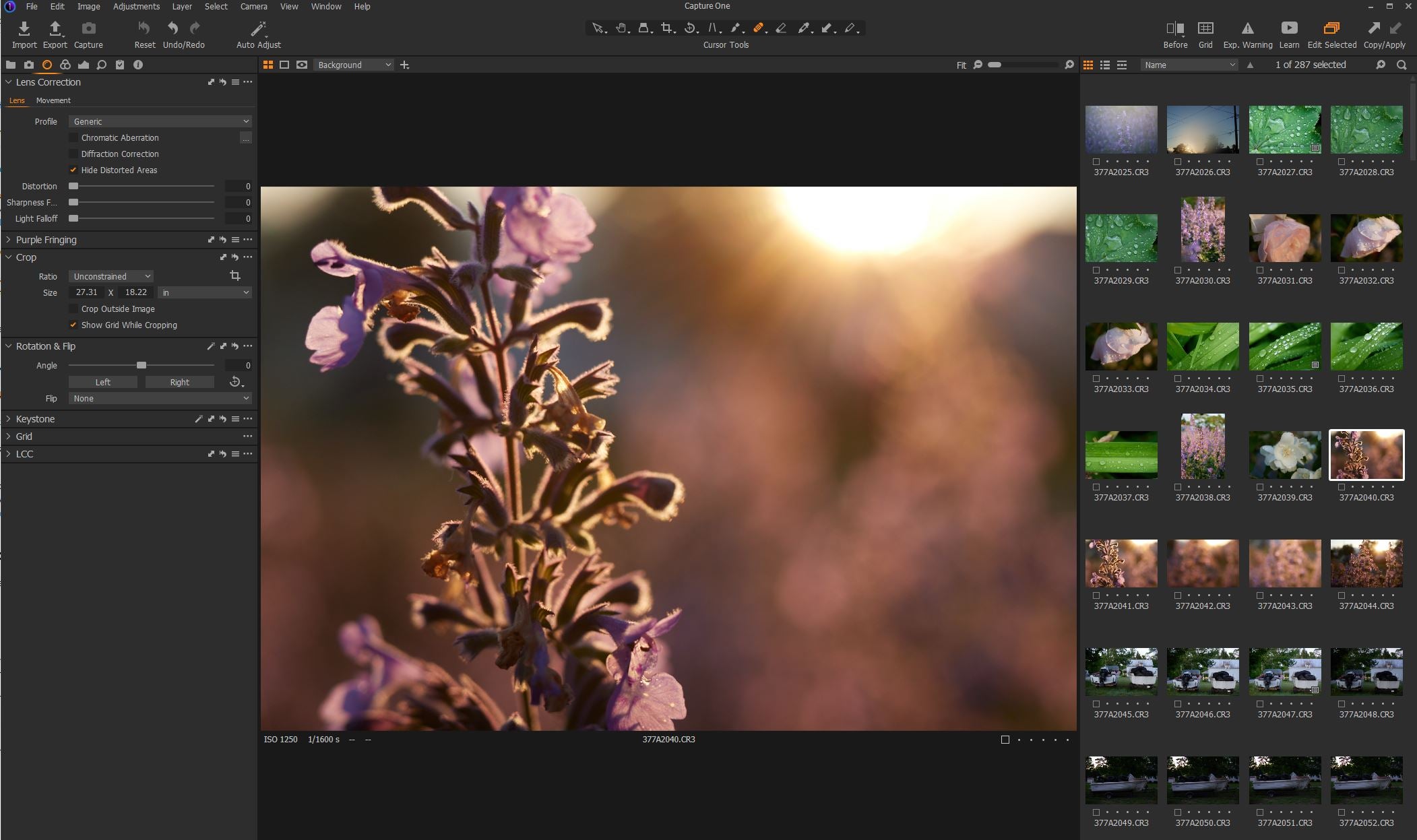 The Best Photo Editing Software for Macs in 2023