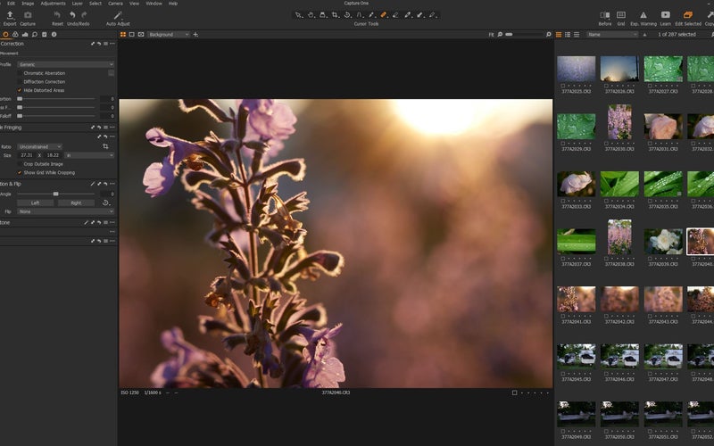 Best Photo Editor: Capture One