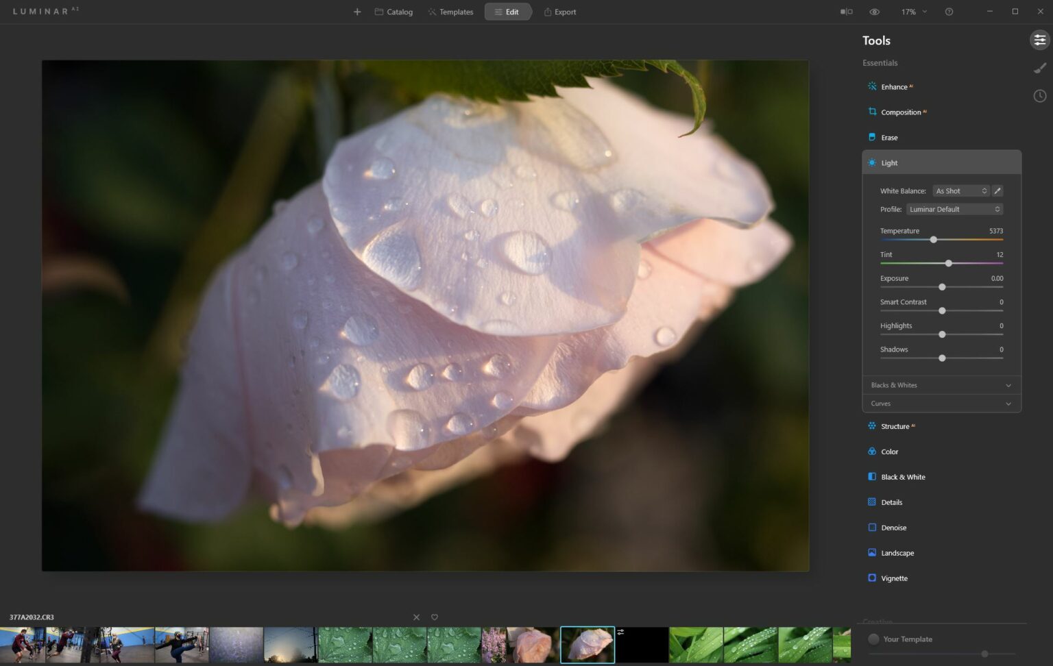 Luminar AI review: Best photo editing software | Popular Photography