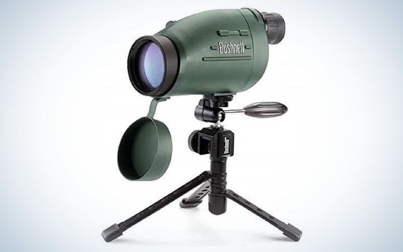 The Bushnell Ultra Compact Spotting Scope is the best budget pick for value.