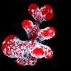 Breast organoid showing contractile myoepithelial cells (blue) crawling on secretory breast cells (red